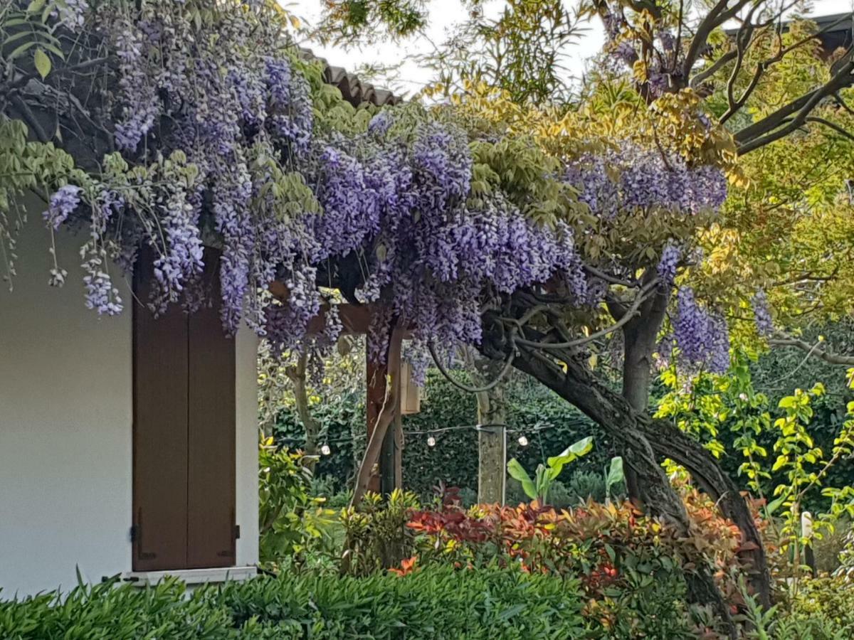 Locanda Da Vittorio Manerba del Garda Kültér fotó